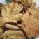 Cooksnap dari Rahma Wati untuk resep Jamur Crispy yang Gurih dan Awet Crispy nya😆