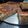 El cooksnap de luisazunigap cuando hizo Tarta integral de CEBOLLAS Y ATÚN.