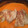 El cooksnap de cris cuando hizo Solomillo en salsa.