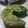 Cooksnap dari GinaSutopo untuk resep Bolu Pandan Santan Jadul Lembuutt dan Wangiiii