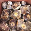 prohomespa's cooksnap of when they made Rabo Encendido (Cuban Style Oxtail Stew).