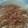 El cooksnap de Fabiana Lopez cuando hizo Arroz con leche cremoso.