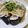 Cony◎'s cooksnap of when they made 豚肉の冷しゃぶ＊一味たっぷり胡麻醤油たれ.