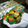 Cooksnap dari Leony Agmanda untuk resep Lidah Kucing Rainbow