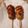 El cooksnap de Furan cuando hizo Banderillas (corndogs).