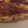 El cooksnap de Marieta cuando hizo Quiche jamón y queso.