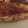 El cooksnap de Marieta cuando hizo Quiche jamón y queso.