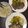 Cooksnap dari Metta Yunita untuk resep Creamy mushroom sauce