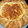El cooksnap de Maria Garcia cuando hizo Pastel rápido de masa de hojaldre con salmón y ricotta.