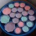 Cooksnap dari Marlina untuk resep Puding Puyo Homemade