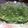 El cooksnap de Celeste Verónica Marcos cuando hizo Espinacas gratinadas (vegetarianas).