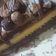 صورة من Hiba 👩‍🍳، شاركها بعد تجربة وصفة كيكة الشوكلاته