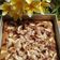Cooksnap dari Alista Enoch untuk resep Ontbijkoek (Onbeikuk) Manado