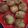 Midhat Jalil's cooksnap of when they made Chicken cheese balls.