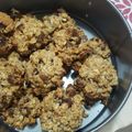 El cooksnap de Diana Mary Rangel González cuando hizo Galletas de avena y arándanos en freidora de aire. 🍪😍.