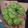 Cooksnap dari Eko Yulianto untuk resep Kue cucur bersarang