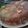 El cooksnap de Rosbely Daviana Montilla cuando hizo Torta De Mandarina.