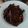 Cooksnap dari alel untuk resep Terong Sambal Terasi