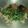 Cooksnap dari Lia untuk resep Tumis kangkung wortel