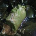 Cooksnap dari Mawaddah Tarjib untuk resep Babongko khas Banjar