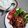 Cooksnap dari naistyle kidsfashion untuk resep Sate maranggi