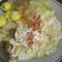 Cooksnap dari Neta untuk resep Nasi Liwet Solo #bikinramadanberkesan