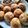 Anushri Pai's cooksnap of when they made इन्स्टंट पौष्टिक आप्पे (Instant Paushtik Appe Recipe In Marathi).