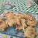 El cooksnap de Cristina cuando hizo Pastelitos casero de membrillo y batata😋.