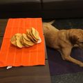 El cooksnap de juan cuando hizo Tortas Fritas Criollas.