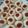 El cooksnap de Juanma Perez cuando hizo Galleta de pepa.