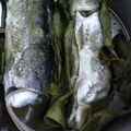 Cooksnap dari Dwi Ragil untuk resep Otak-Otak Bandeng (tanpa kelapa)