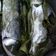 Cooksnap dari Dwi Ragil untuk resep Otak-Otak Bandeng (tanpa kelapa)