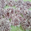 Cooksnap dari 🍒Astri Anjar🍍 untuk resep Ongol Ongol Tapioka