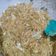 Cooksnap dari Alfianti Rizky untuk resep Bihun Goreng (temennya nasi uduk)