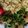 Сooksnap від Альона, який(а) приготував(ла) Мясо  по-французски с ананасами.