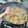 El cooksnap de Franco cuando hizo Chapsui de pollo con arroz.