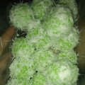 Cooksnap dari Fanny Permatasari untuk resep Klepon Ketan Gula Merah (Kenyal No Kapur Sirih)