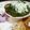 Tulsi Shaherawala's cooksnap of when they made પાલક પનીર(Palak Paneer Recipe In Gujarati).