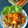 Cooksnap dari Kiena untuk resep Ayam Kuluyuk Homemade