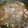 Cooksnap dari AdelIna HOtdiana untuk resep Sop ikan kakap