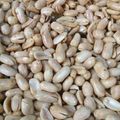 Cooksnap dari Diyan Ummu iskhoyas untuk resep Kacang bawang