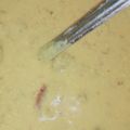 Manju का कुकस्नैप जब उन्होंने प्याज की कढ़ी (pyaz ki kadhi recipe in Hindi) बनाया था।