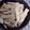 El cooksnap de florencialsantillan cuando hizo Grisines veganos con semillas u orégano.