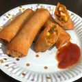 Bhavisha Hirapara's cooksnap of when they made સ્પ્રીંગ રોલ (Spring Roll Recipe In Gujarati).