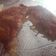 El cooksnap de Fatii Caetano cuando hizo Croquetas de papa y zucchini.