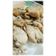 Cooksnap dari Rina Laksono untuk resep Ayam Pop