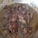 Cooksnap dari Ima untuk resep Ati ampela goreng bumbu ungkep