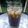Cooksnap dari ike octamila untuk resep Americano Honey