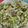 El cooksnap de Lucía Hernández cuando hizo Fideos con brócoli 🥦 todo en uno.
