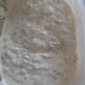 Judit Gál Orumwense Cooksnap-ja, amikor elkészítette a(z) Tzatziki saláta receptet.